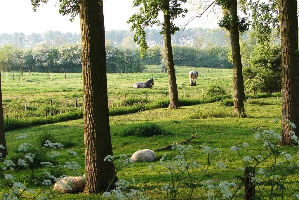 Do'S Chalets Baarland Kültér fotó
